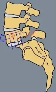 1543893472554055.jpeg 24.jpg